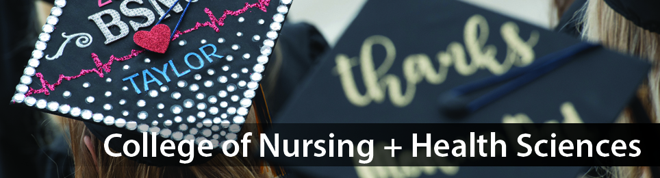 Give Online to the College of Nursing and Health Sciences